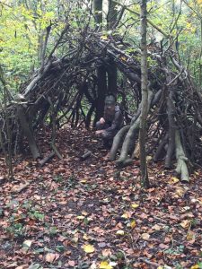 witch-wood